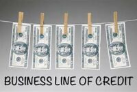 revenue based line of credit