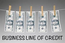 revenue based line of credit